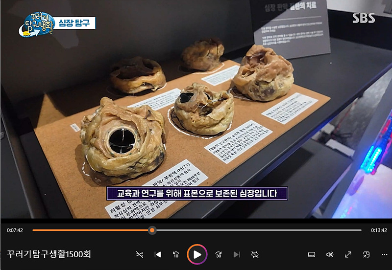 꾸러기탐구생활 1500회 심장박물관 0742.jpg